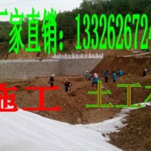 山東土工材料生產廠 專注于土工格柵、玻璃纖維格柵及土工針刺地毯的制造
